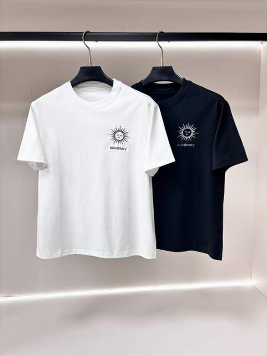 Picture of Burberry T Shirts Short _SKUBurberryM-3XL24or0320288